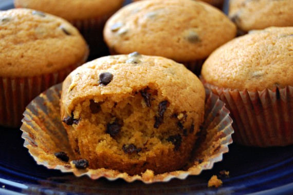 Chocolate chip pumpkin muffins